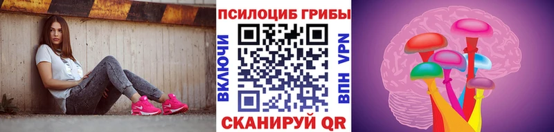 Псилоцибиновые грибы Cubensis  Уфа 